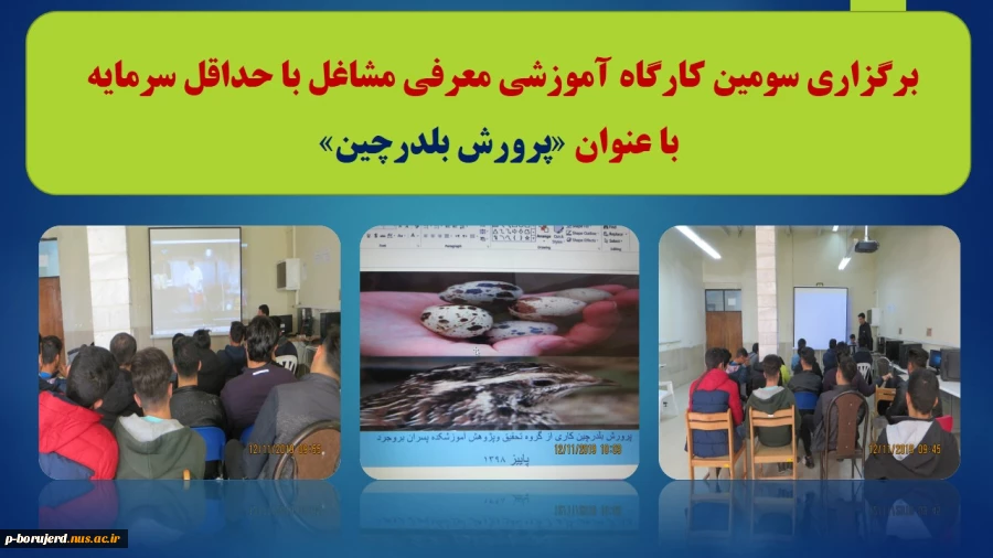 برگزاری سومین کارگاه آموزشی معرفی مشاغل با حداقل سرمایه " پرورش بلدرچین " در آموزشکده فنی و حرفه ای پسران بروجرد 2
