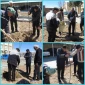 کاشت چند اصل نهال مثمر در محوطه دانشکده به مناسبت 15 اسفندماه روز درختکاری
